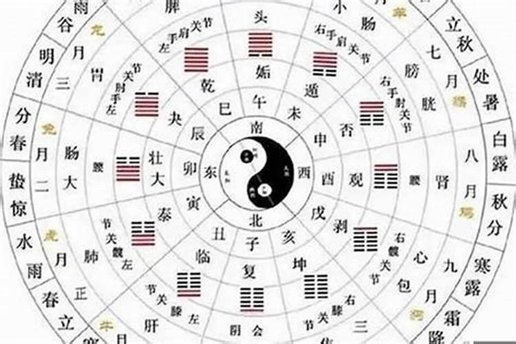 合婚看八字里的什么