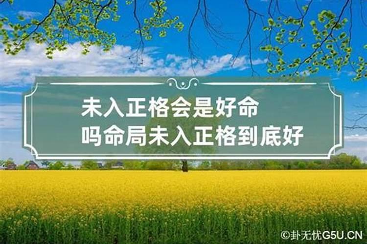 八字合婚盘怎么看