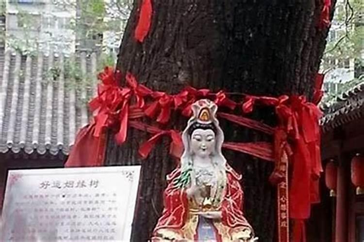 婴儿死了算堕胎婴灵么