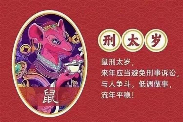 2022年属鼠犯太岁吗?