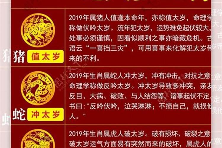 2019年属马的犯太岁吗