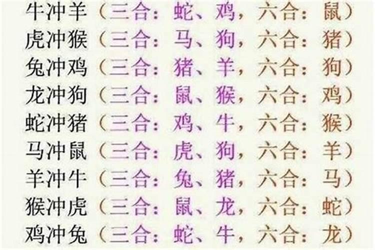 属马生什么宝宝八字合