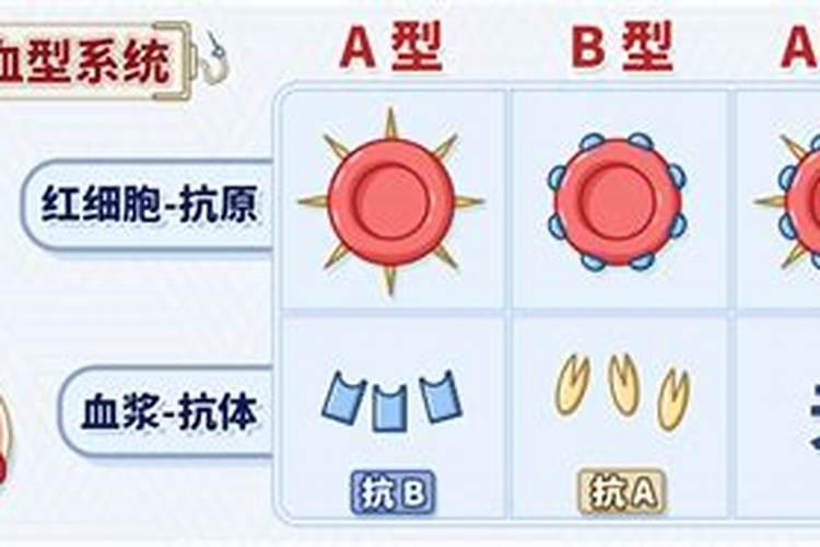 人一生有几次犯太岁