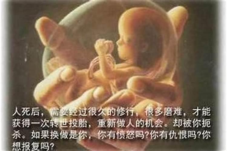 假断掌女人婚姻不顺吗