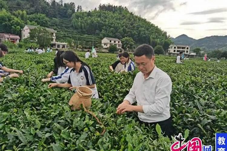 怎样知道超度婴灵成功