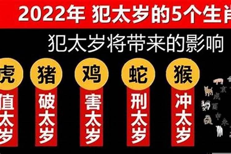 属鸡2022年明年犯太岁