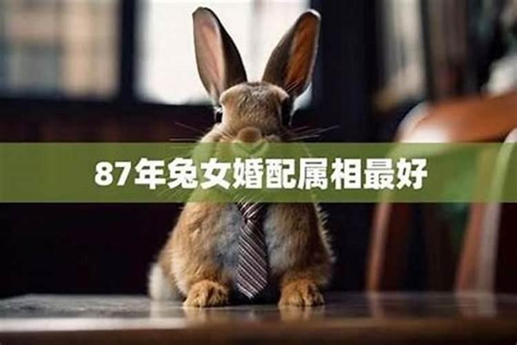 2023年太岁犯什么属相表