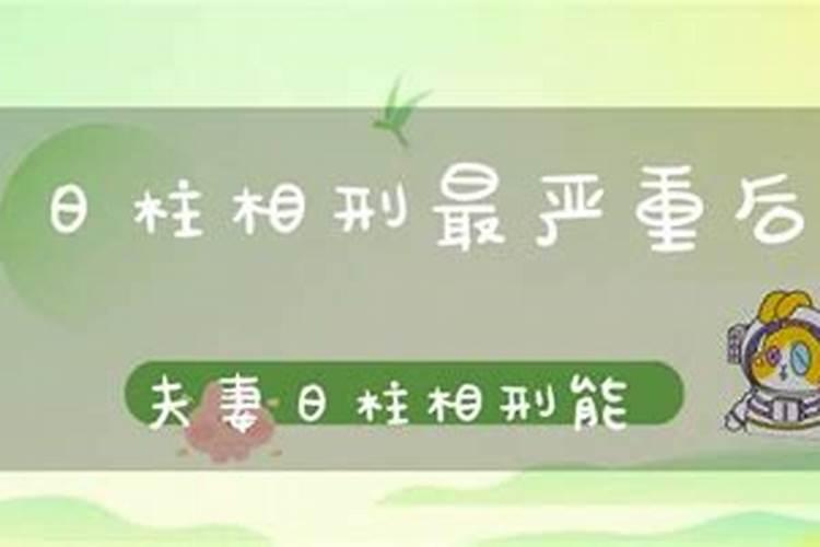 鸡和狗八字合不合