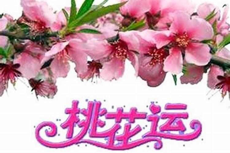 怎样旺桃花