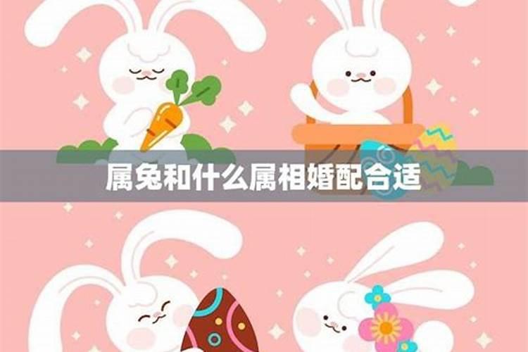 属马的今年会结婚吗