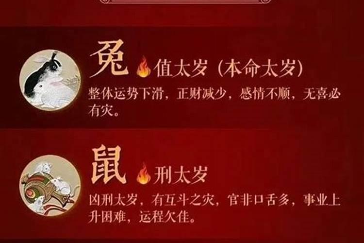 2023属龙人犯太岁怎么化解