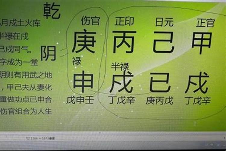 八字巳申合什么意思