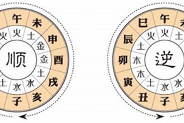 2020年猪太岁是什么意思