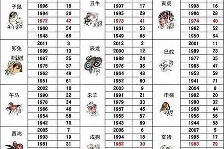 属兔本命年能不能过生日