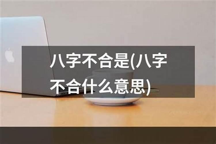 八字不合是啥意思呀怎么办