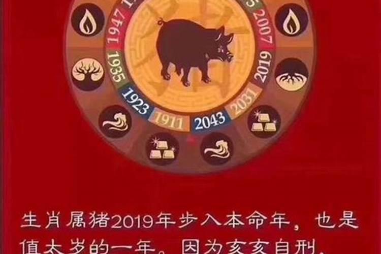 2019年犯太岁的有哪些生肖