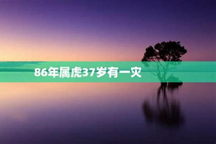 86年属虎人最穷不过36岁