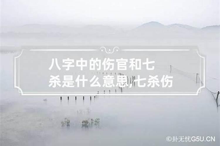 八字怎么看命盘