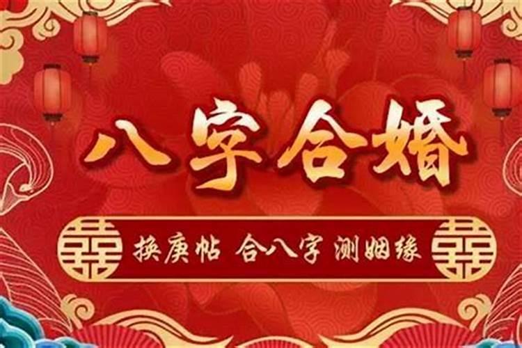 虎牛属相合不合婚