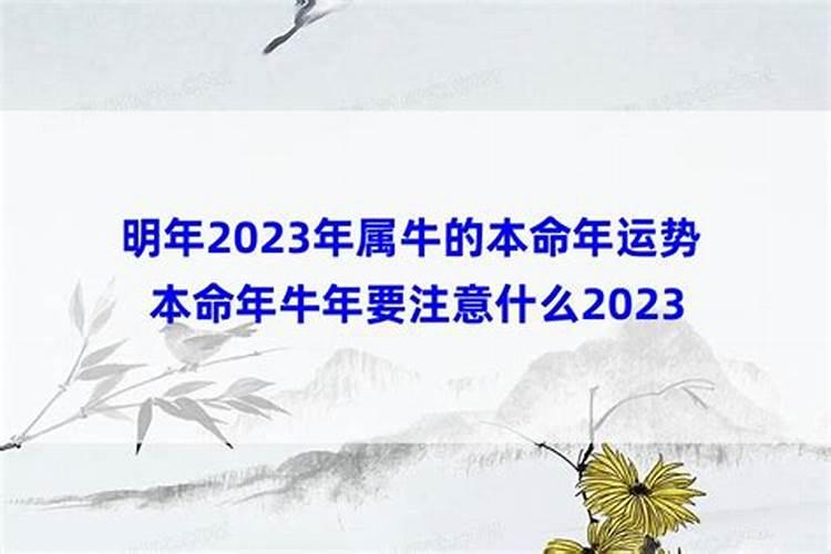 八字命理怎样断婚姻关系