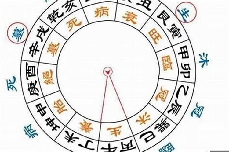 八字大运走养运财大吗