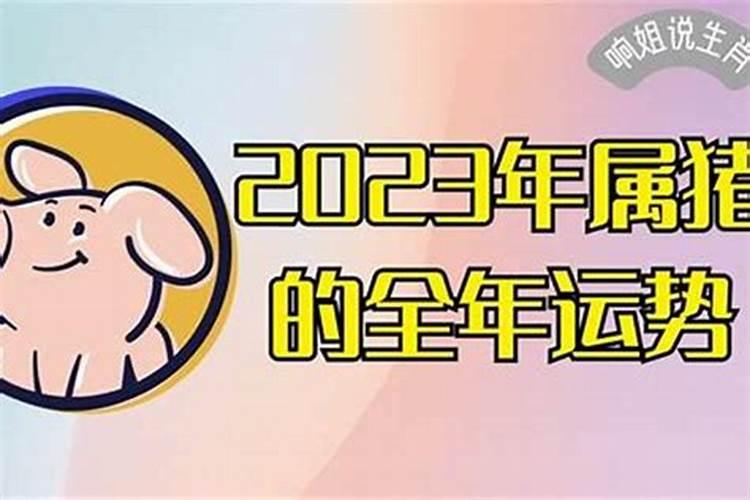 属猪2023犯太岁吗好吗