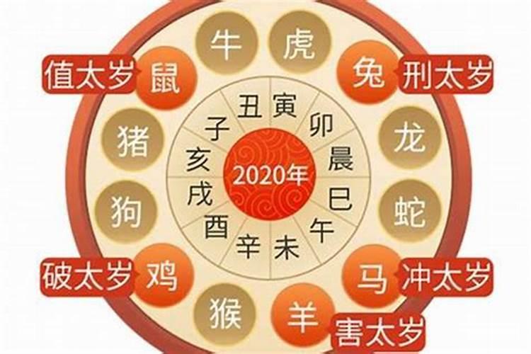 属猪2022犯太岁躲星时间表