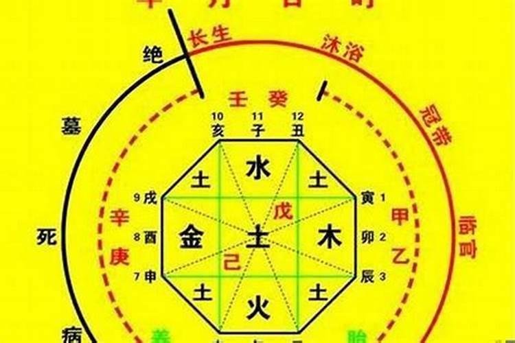 怎样看八字的喜用神