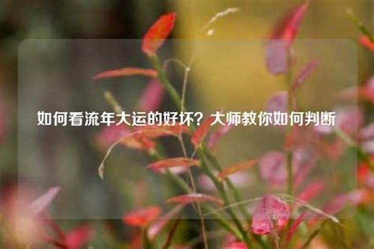 怎样看大运的方向