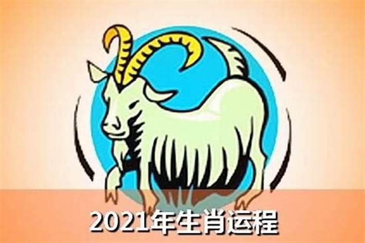 属羊的在2023年的全年命运如何啊