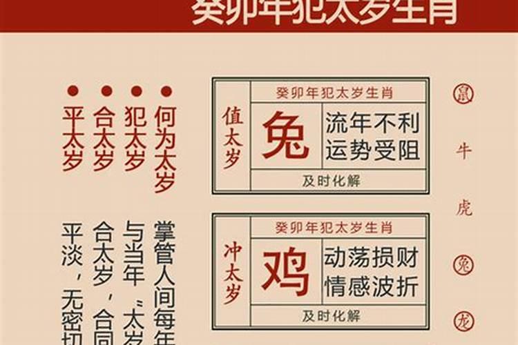 2023年兔本命年避什么属相