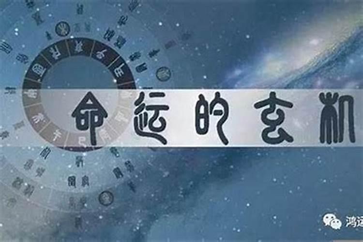 属蛇2021犯太岁吗生肖是什么