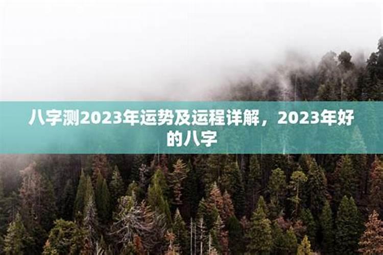 2023年职位变动的八字