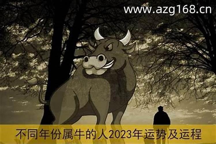 2023年本命年禁忌