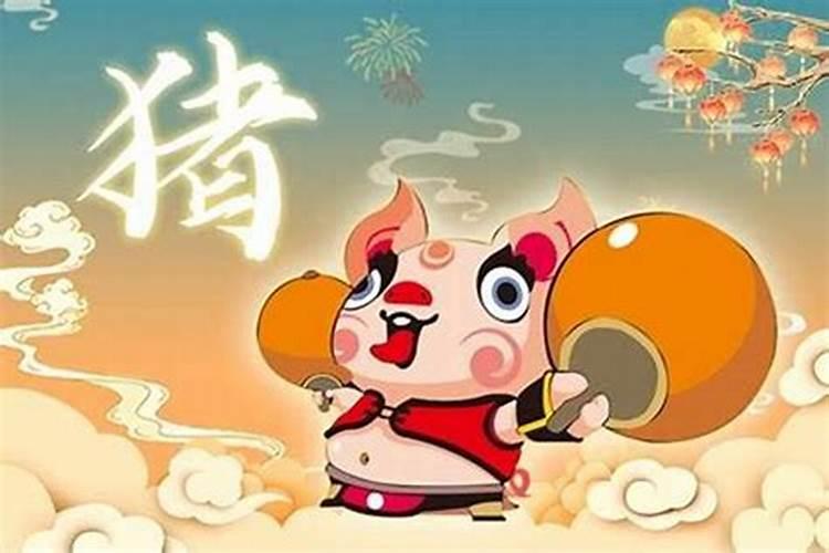 属猪的什么年犯太岁