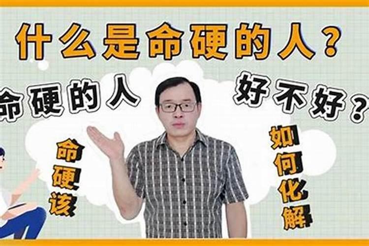 属羊和属兔的合不合适