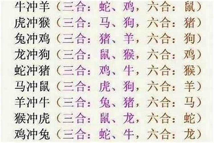 属牛的人和属羊的八字合吗