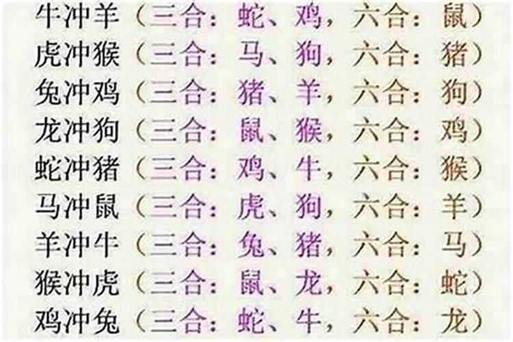 属牛和属鼠八字合吗