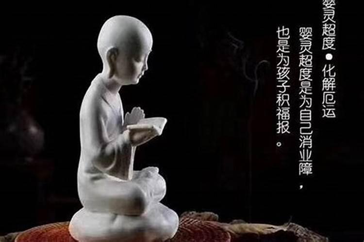 属鸡的今年是不是太岁年