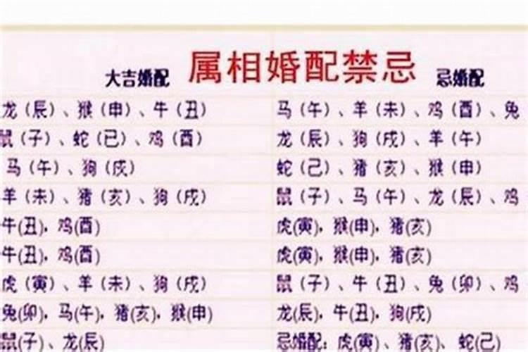 如何看八字的基本步骤