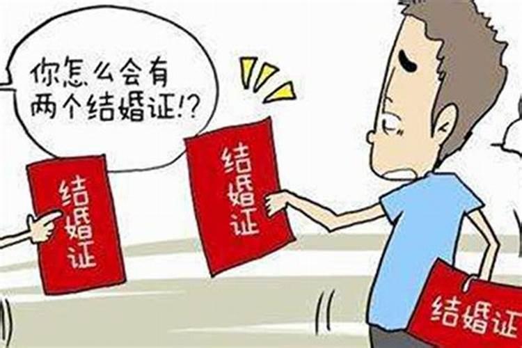 本命年不结婚的属相