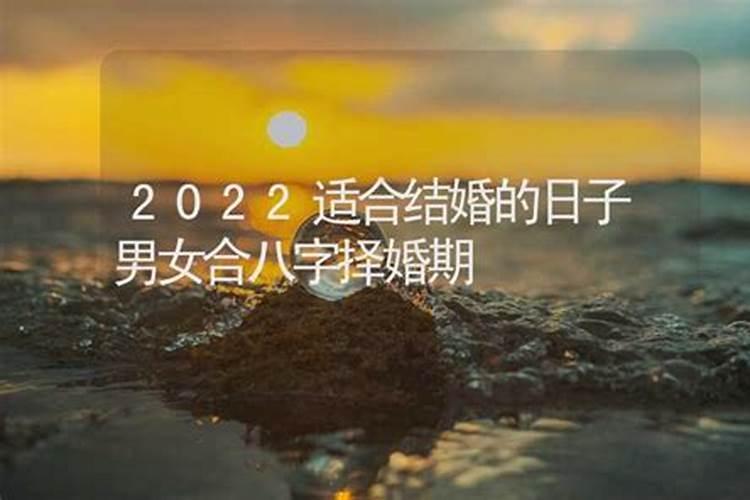 2022壬寅年容易结婚生肖