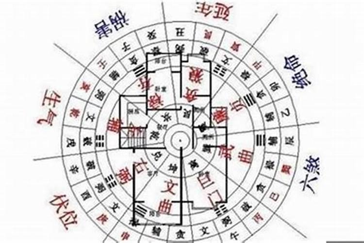 属虎犯太岁带什么