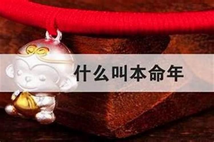 本命年适合做什么工作