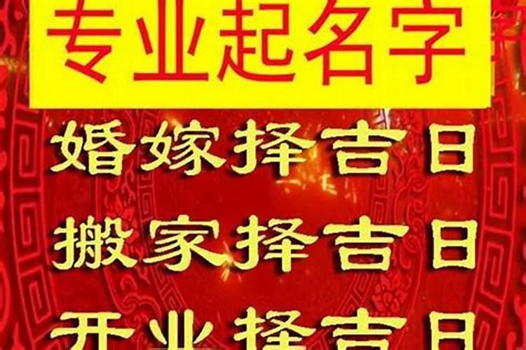 兔和狗的属相合不合