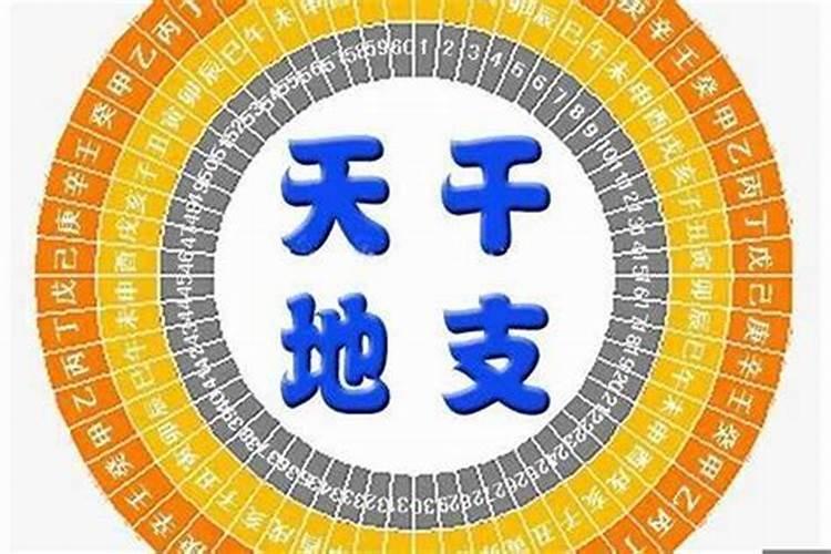 八字地支争合是什么意思