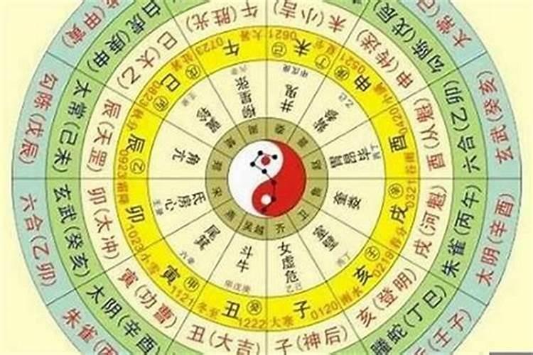 2024犯太岁的5大生肖有哪些