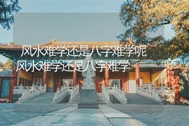 八字命理难学吗