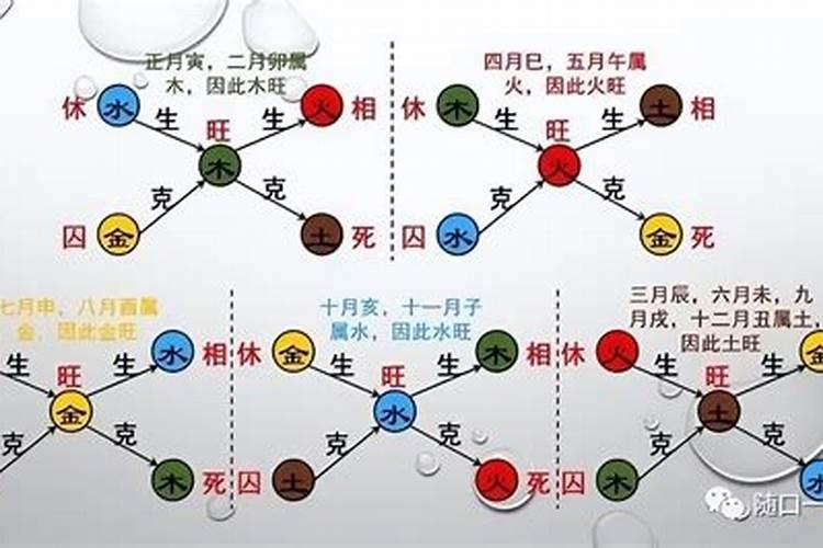 算命初学者