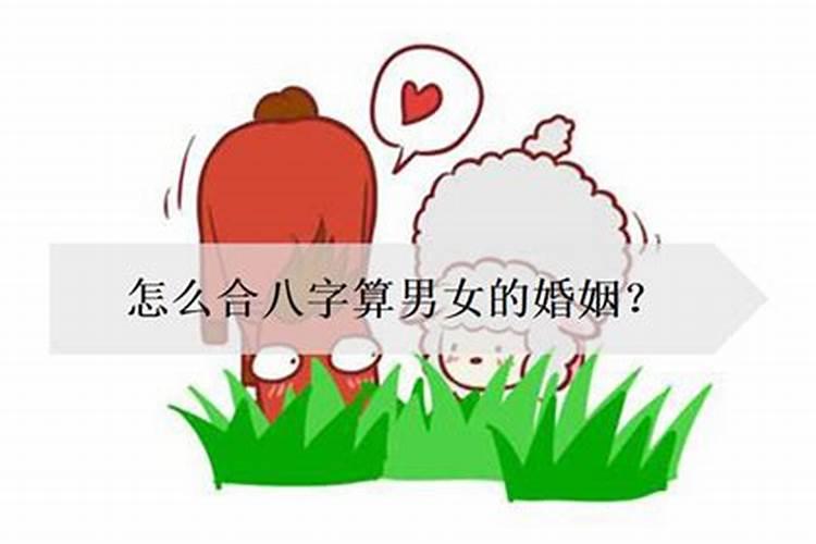 男女怎么合八字算婚期